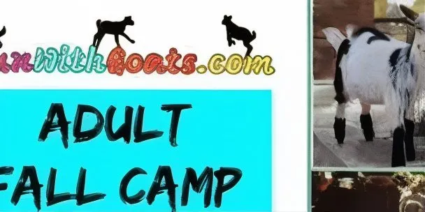 Adult Fall Day Camp Session #3