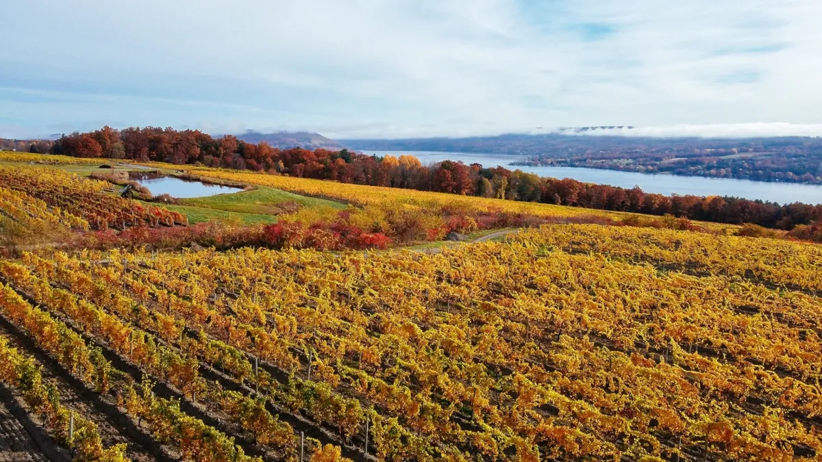 Single Event Dr. Konstantin Frank Winemaker Weekend
