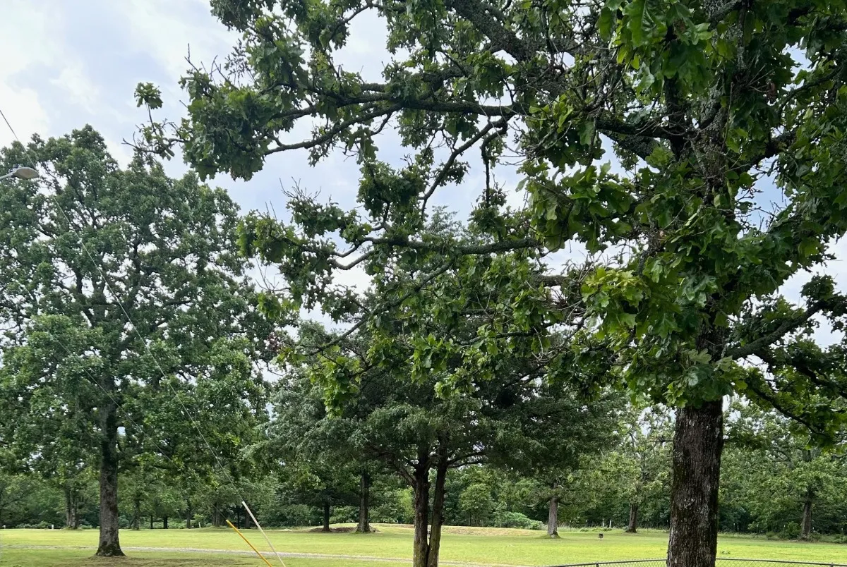 COBB RV PARK