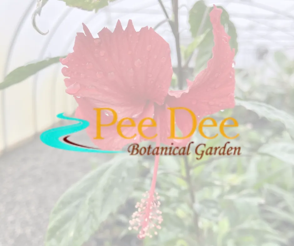 Pee Dee Botanical Garden