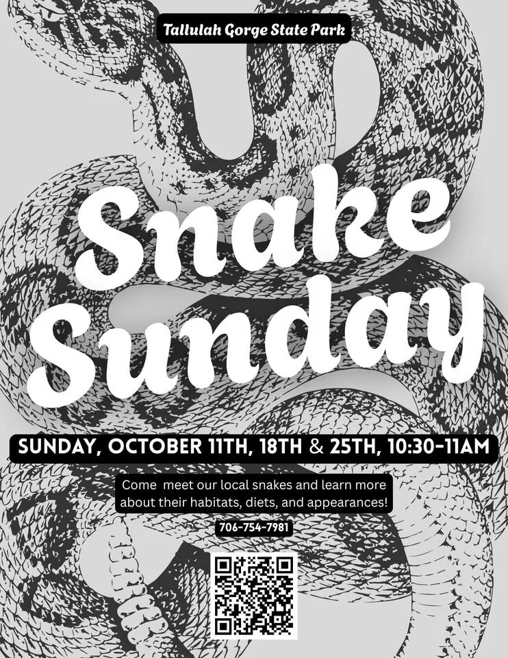 Snake Sunday