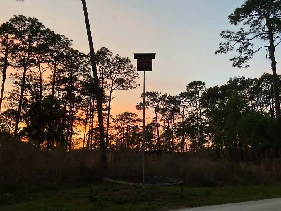 Night Hike