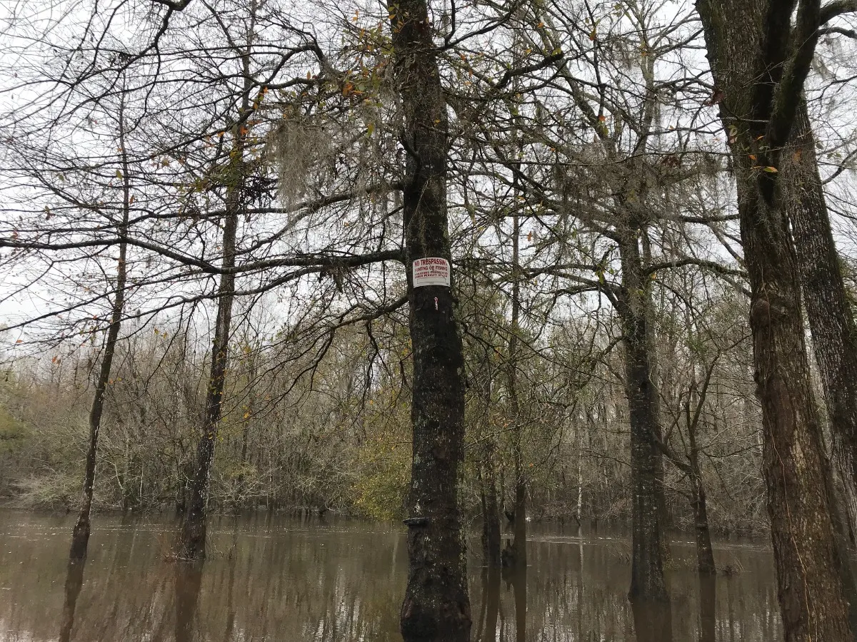 Hwy 378 Landing