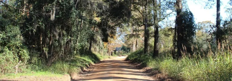Eutaw Spring Battlefield