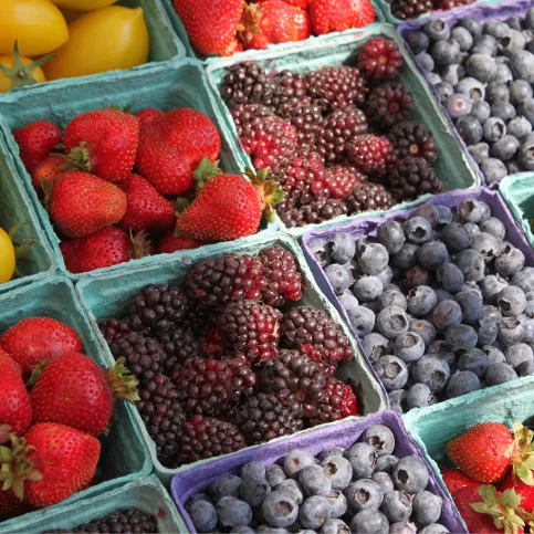 Single Event Moravia Farmers Market