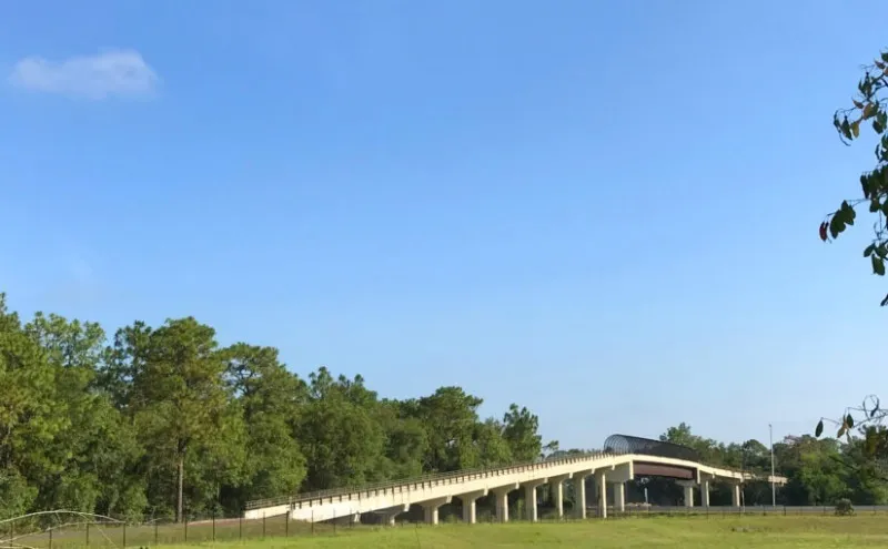 Suncoast Trail - SR-50 Trailhead