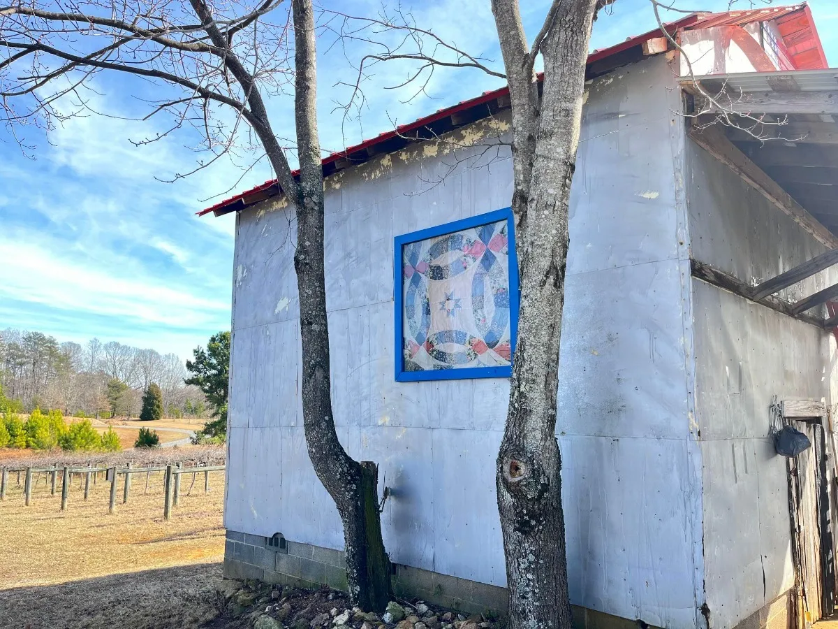 Quilt Trail Square - Riverbirch Farm