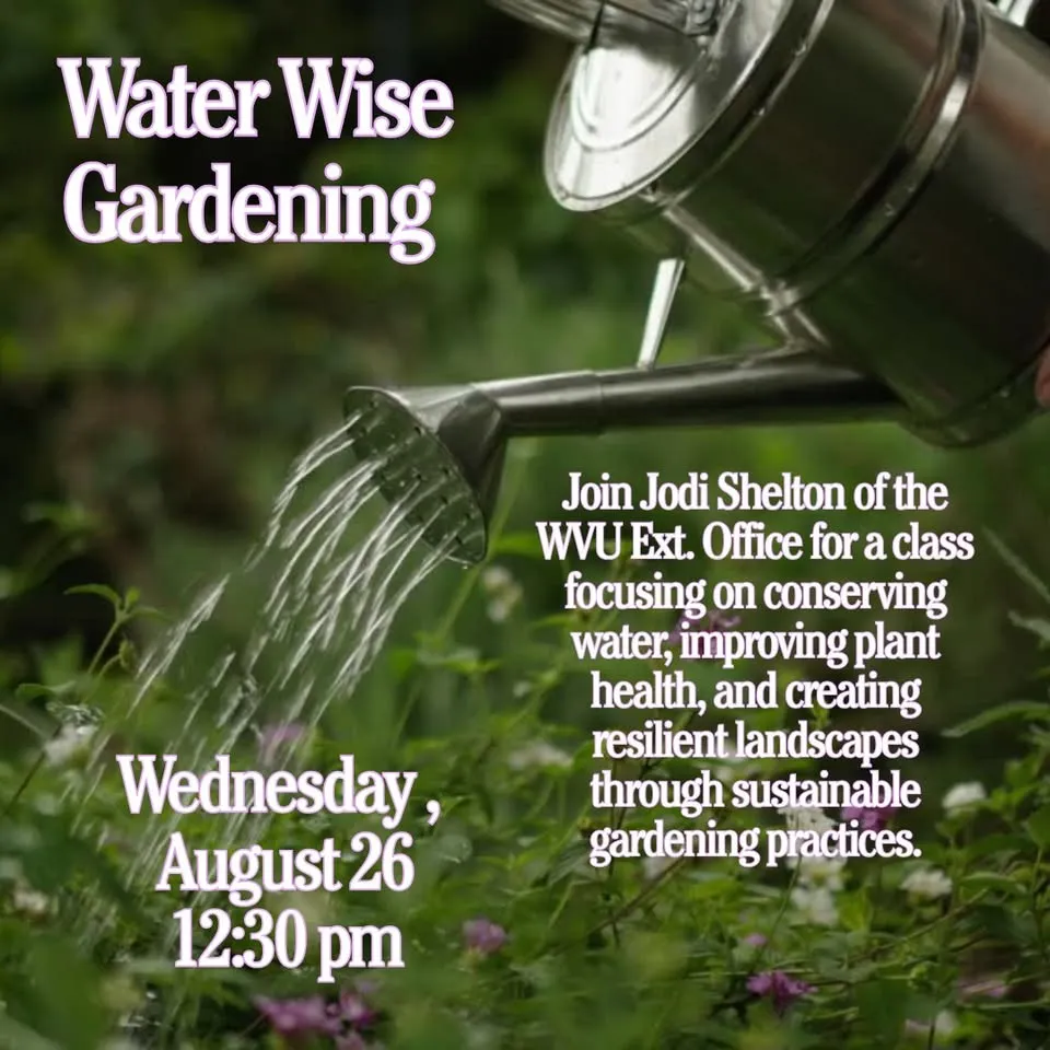 Water Wise Gardening