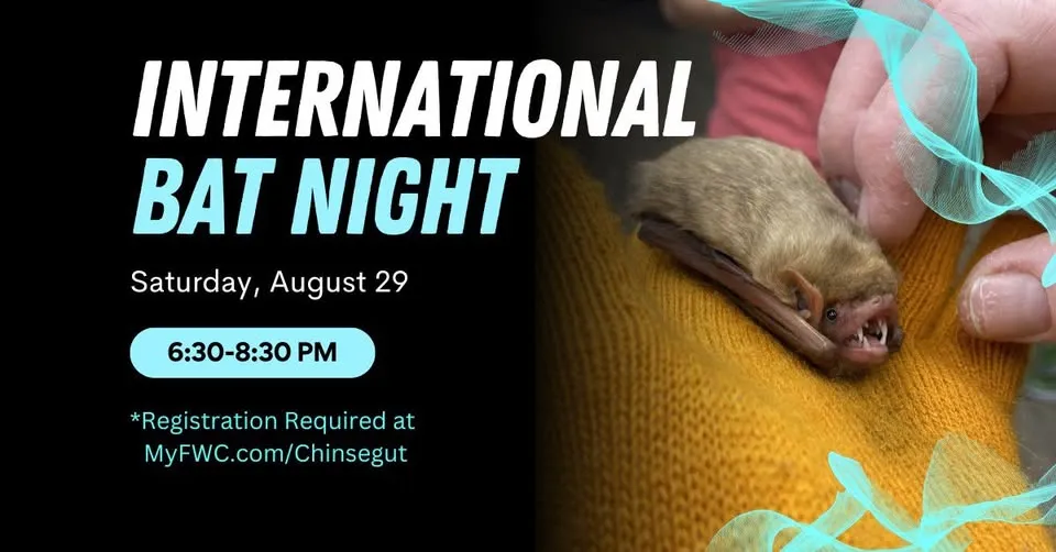 International Bat Night