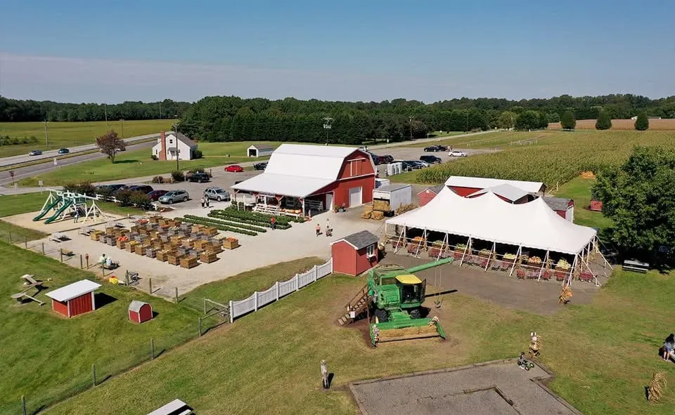Final Fun-Friday at Councell Farms