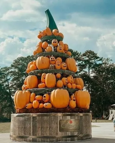 The Great Pumpkin Fest
