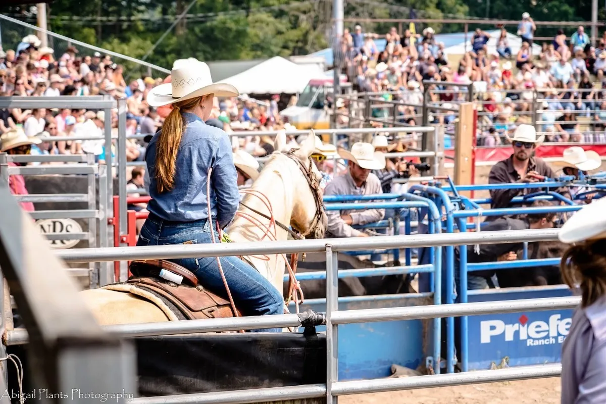Port City Stampede
