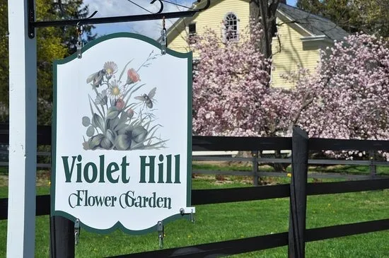 Violet Hill Bed And Breakfast