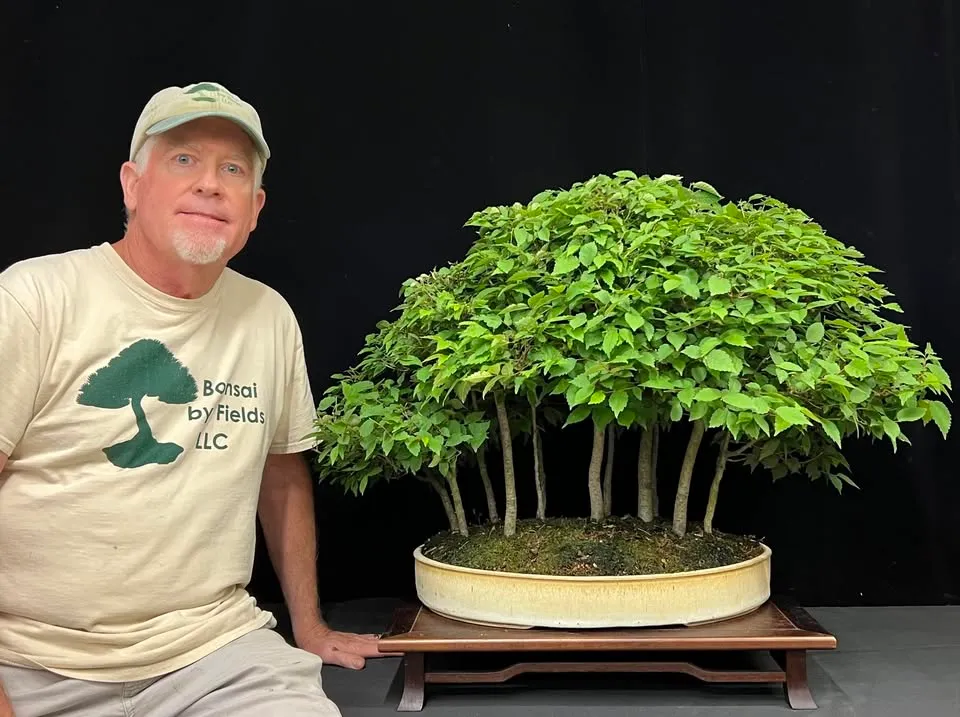 Japanese Silverberry as Shohin Bonsai Workshop