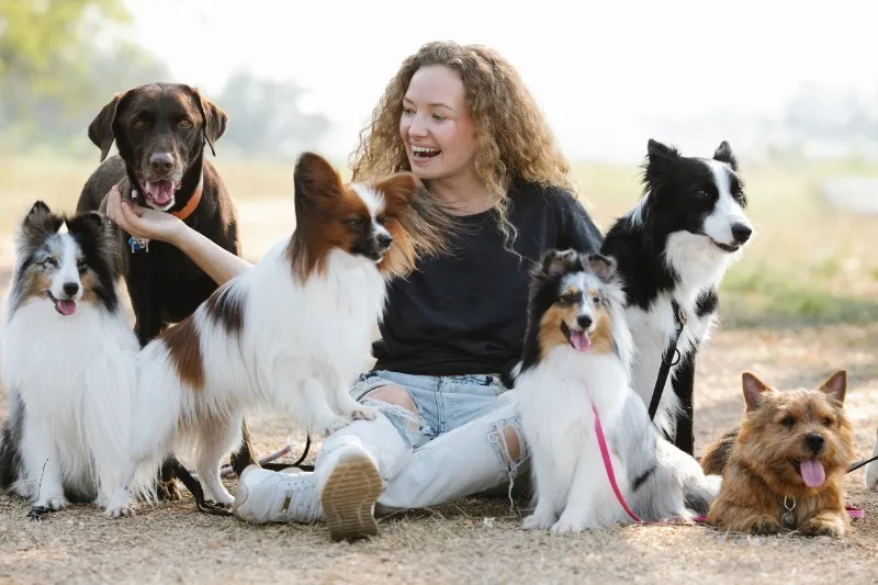 Animal Lovers Assistance League