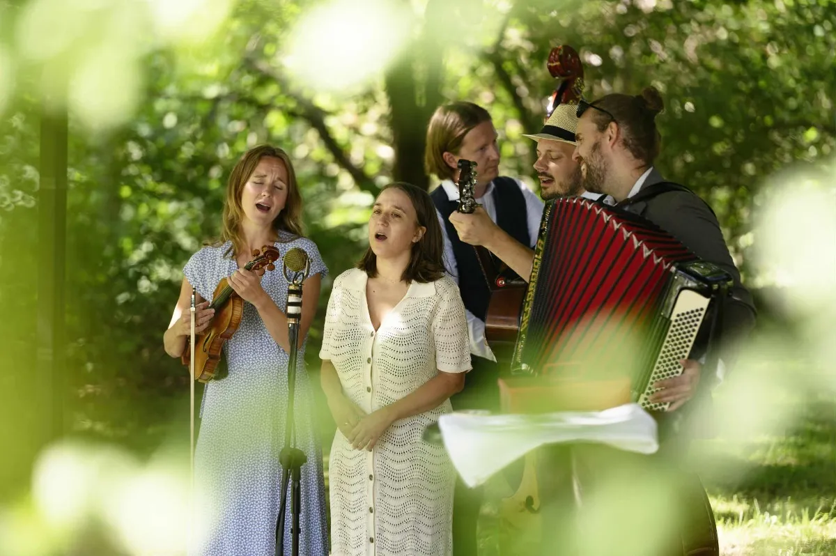 CoMMA presents Hayde Bluegrass Orchestra