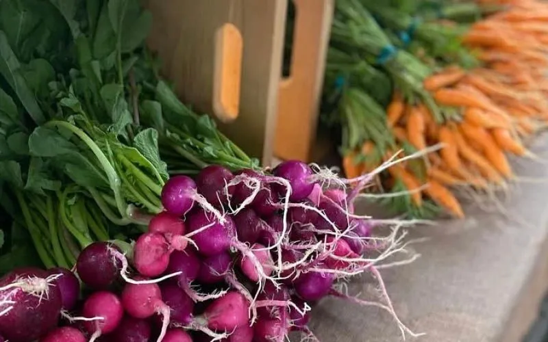 Brockville Farmers' Market