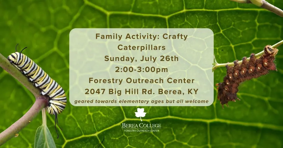 Family Activity: Crafty Caterpillars