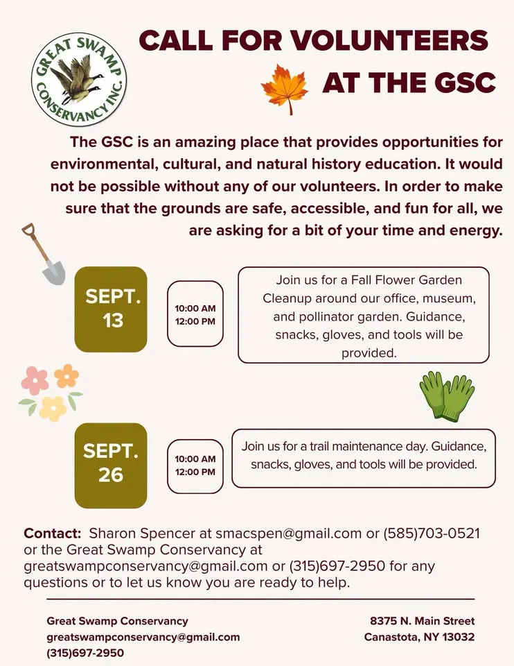 Fall Flower Garden Cleanup