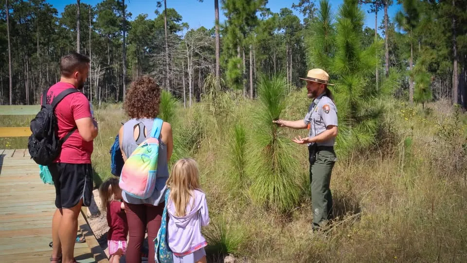 Nature Walk: Learn About Longleaf!