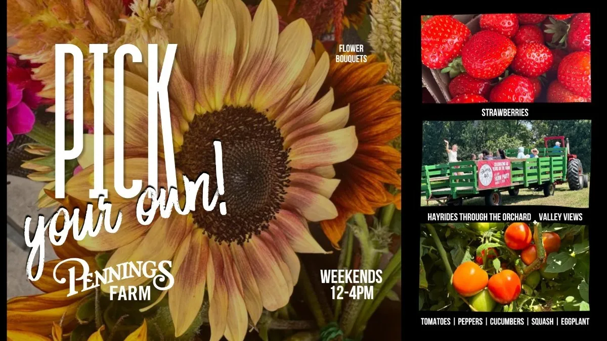 You Pick Strawberries, Veggies, and Flowers at Pennings Farm