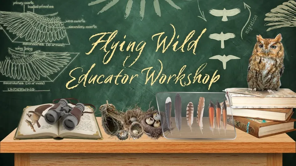 Flying Wild Educator Workshop