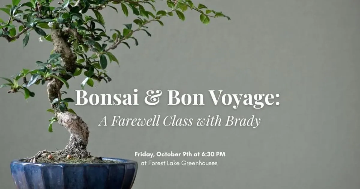 Bonsai & Bon Voyage: A Farewell Class with Brady