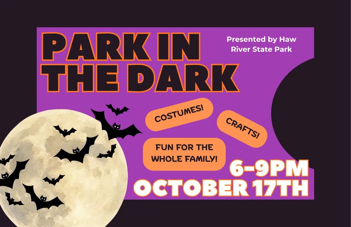 Park in the Dark