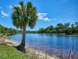 Explore Volusia: Riverbend Preserve Eco-buggy Tour