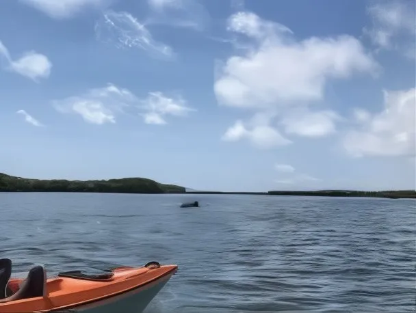 Riverbreeze Park - Land, Coastal Cleanup 2026