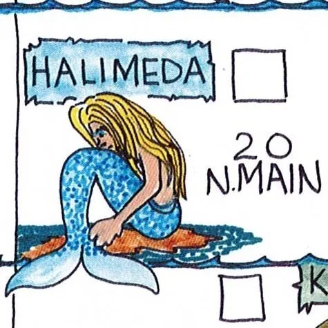 Halimeda - Florida Mermaid Trail