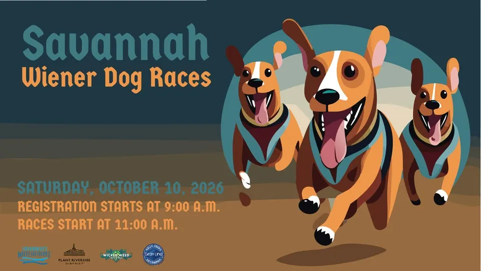 Savannah Wiener Dog Races