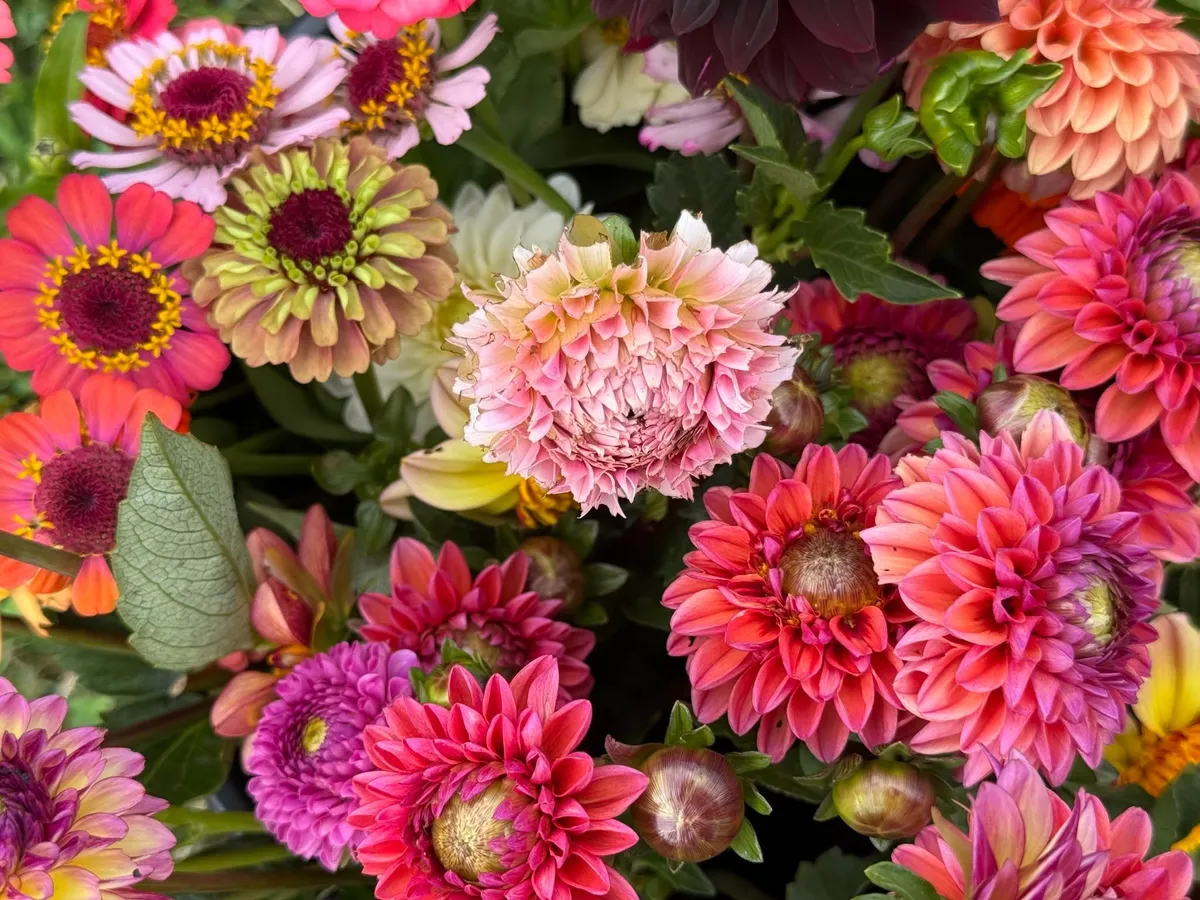 You-Pick & Yoga at Valley Girl Flower Farm