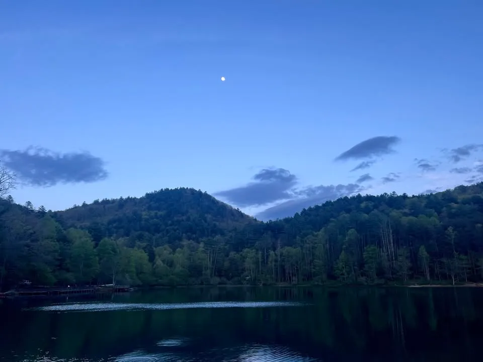 Evening Bat Hike ($5)