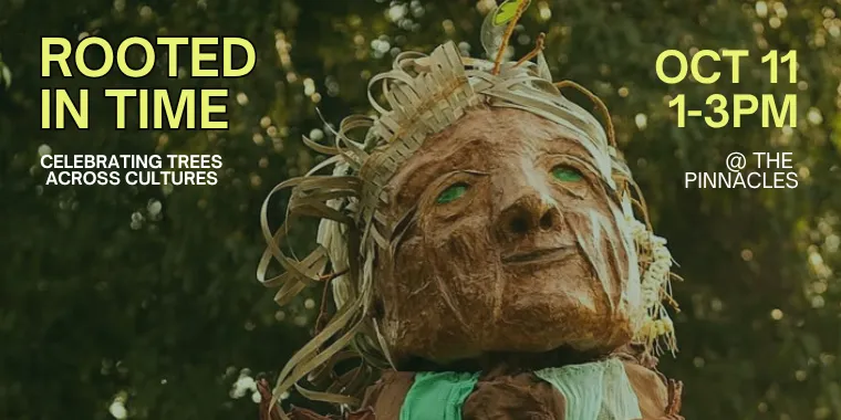 Rooted In Time: Celebrating Trees Across Cultures