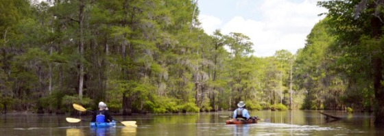 Blueway Adventures