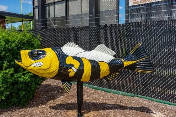 The Roanoke Valley Rocks