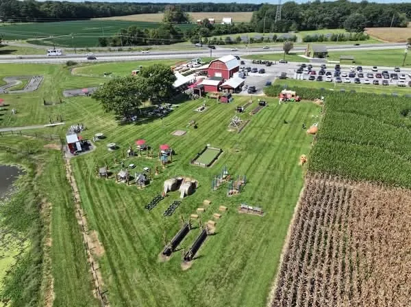 Thursday on the Farm