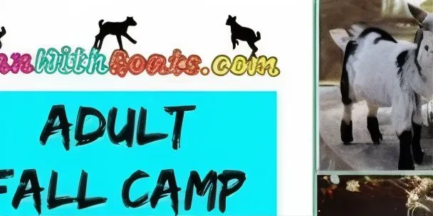 Adult Fall Day Camp Session #1