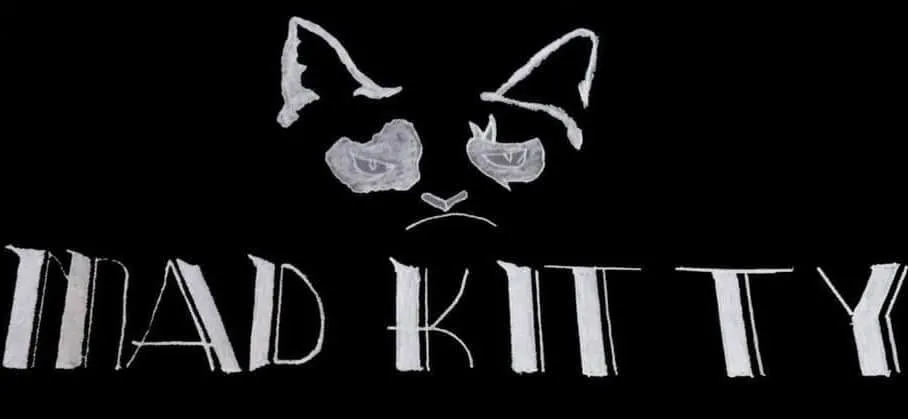 Mad Kitty @ Currituck Trading Post😼😼😼