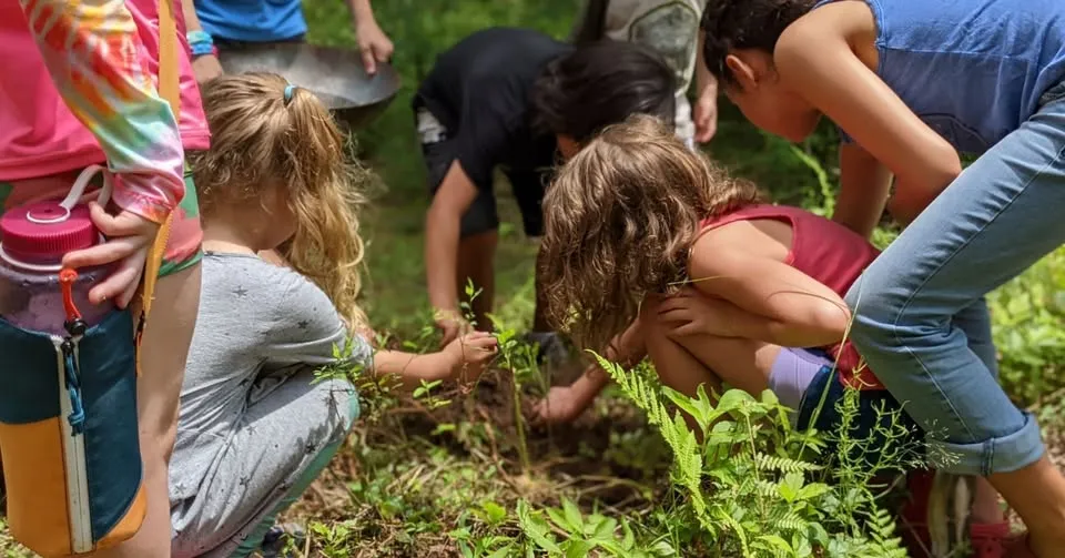 Homeschool Fridays! Herbal Playshop with Caleb Arnold - MULTIPLE DATES APRIL - OCT