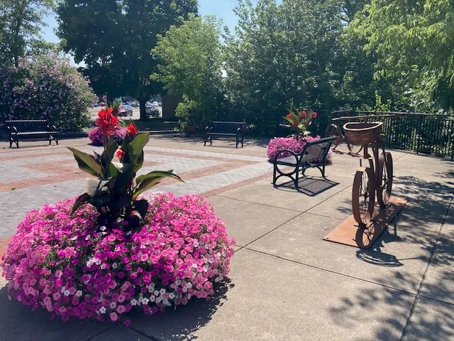 Downtown Auburn Flower Power Plant