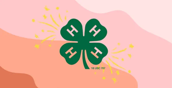 4-H Spark Club, Moravia