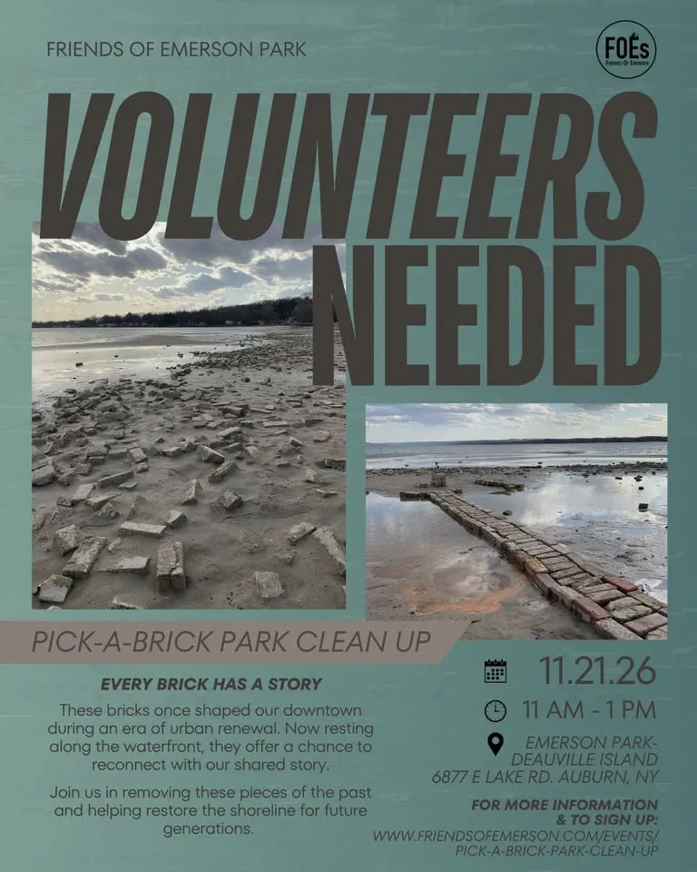 Single Event Pick A Brick Park Clean Up