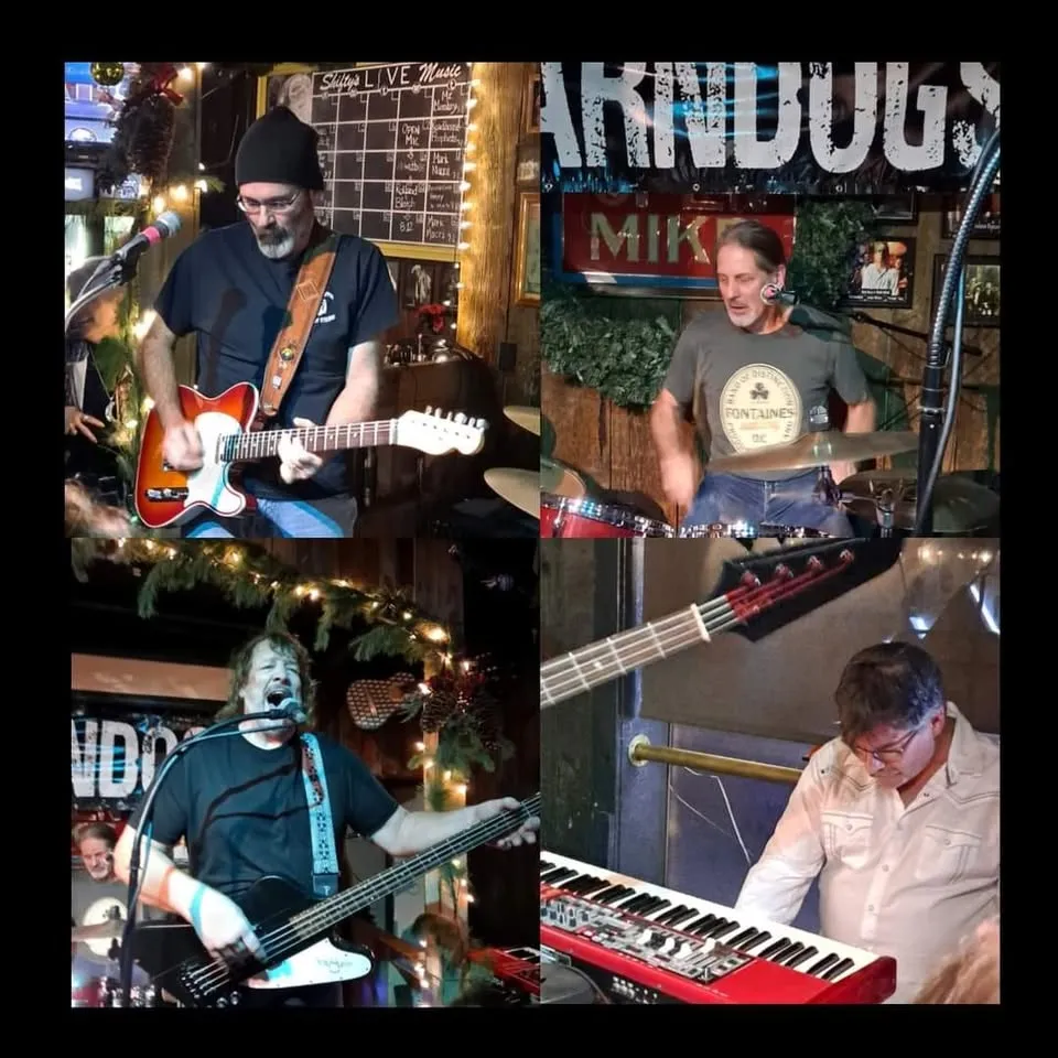 The Barndogs, Live on Stage