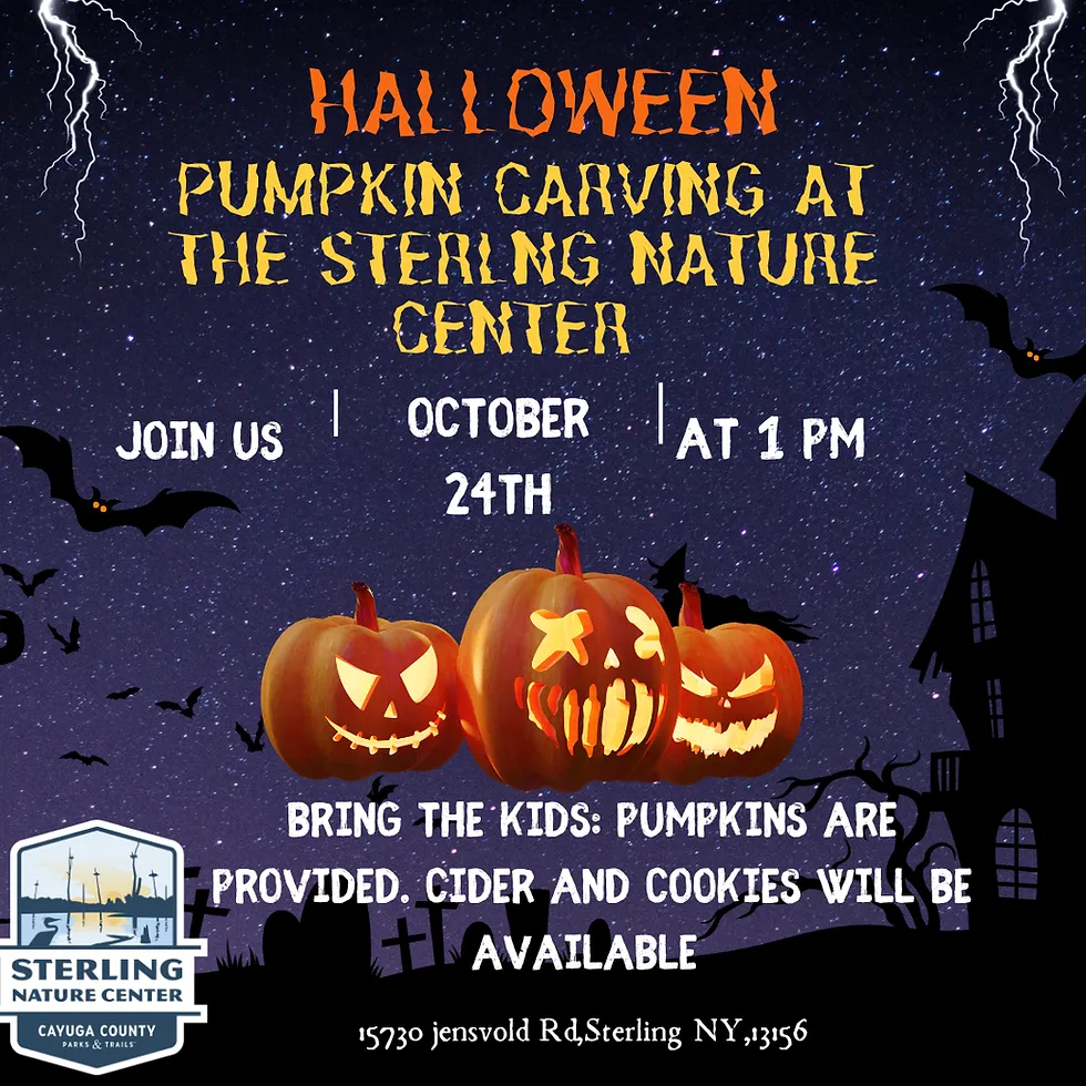 Single Event Pumpkin Carving