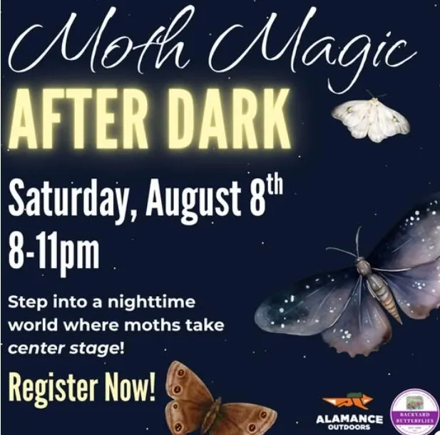Moth Magic After Dark