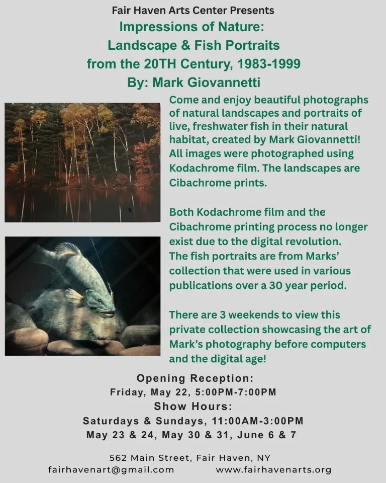 Single Event Impressions of Nature: Landscape & Fish Portraits from the 20th Century, 1983 - 1999 By: Mark Giovennetti