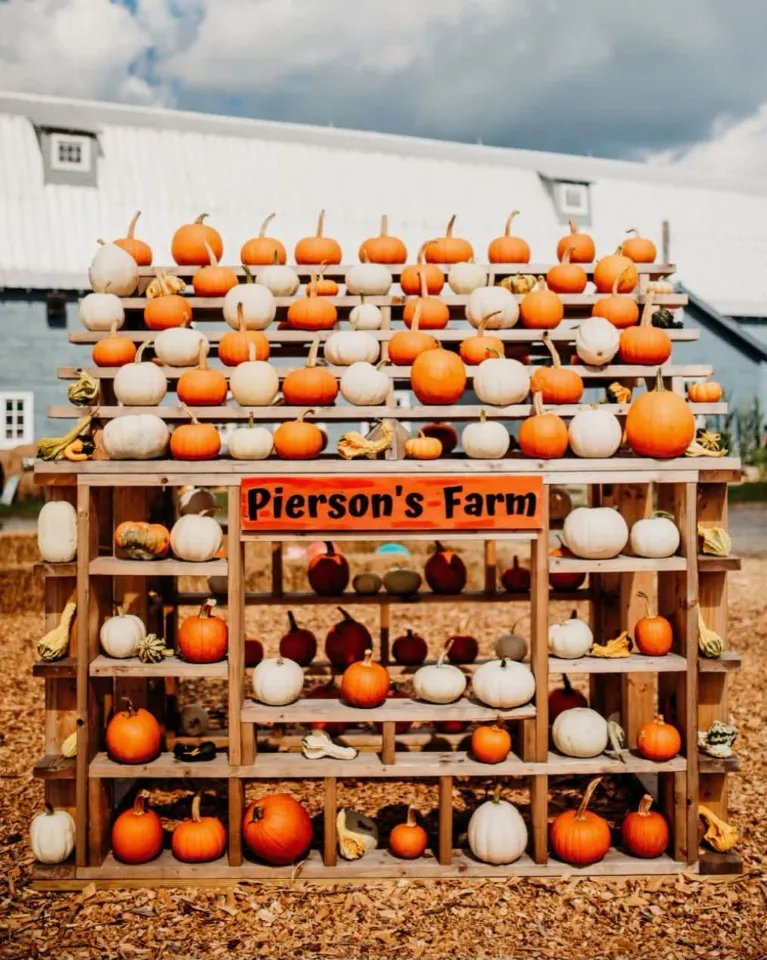 Fall Family Fun @ Pierson's Farm