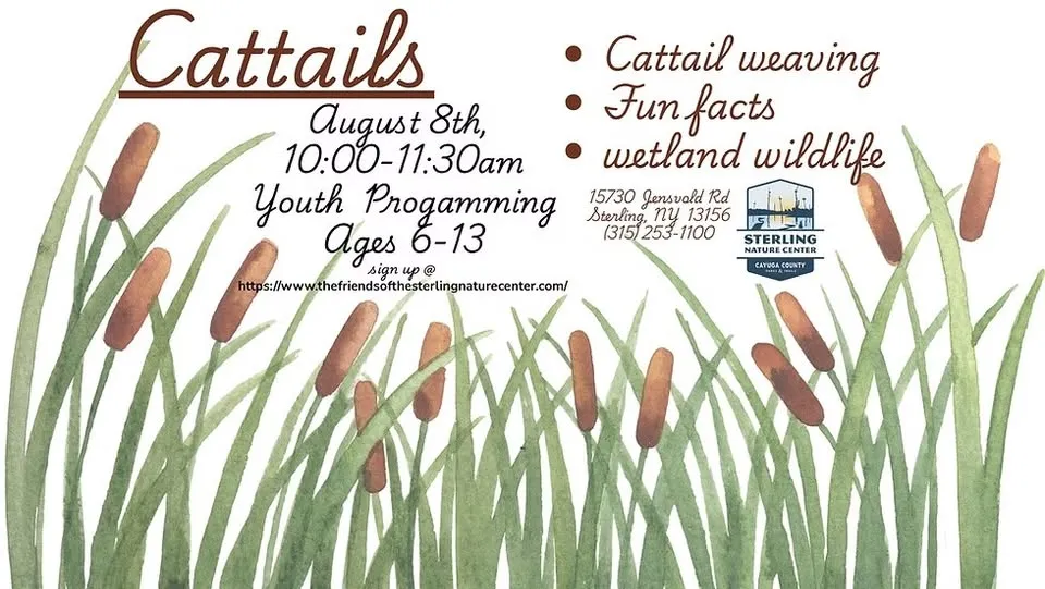 Single Event Come explore the world of cattails with us!